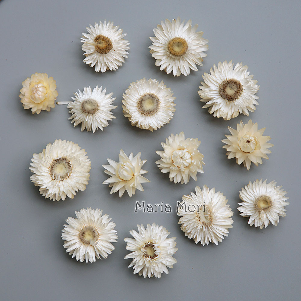 Candle Making At Home - Natural Dried Colorful Chrysanthemum Wreath Handmade