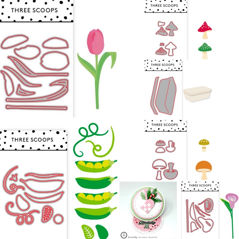 Curvature of the Leaves in the - đánh giá và giá Candle Making Books